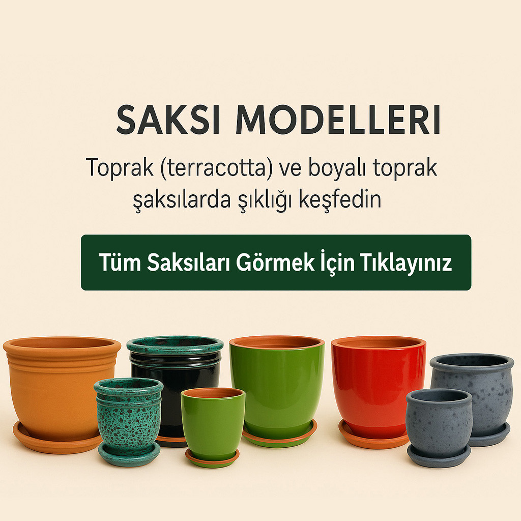 Alt Banner Saksı
