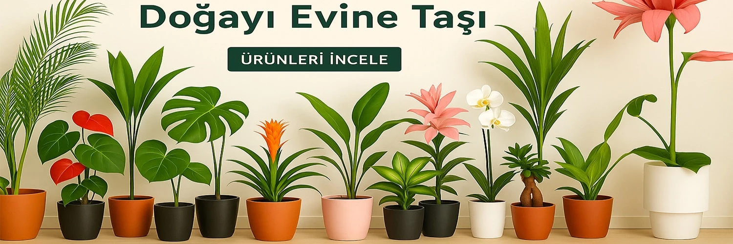 Doğayı Evine Taşı