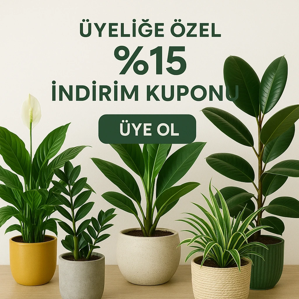 Üyeliğe Özel İndirim