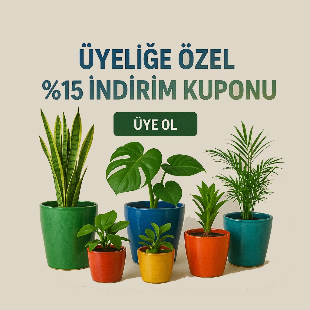 Üyeliğe Özel İndirim