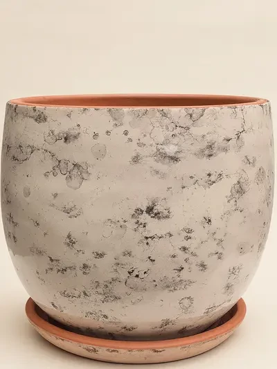 Krem Mermer Sırlı No 6 Ø35cm - Saksilar - Lalezar Botanik