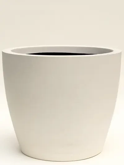 Manolya Beton Saksı No 5 Ø49cm Beyaz - Saksilar - Lalezar Botanik