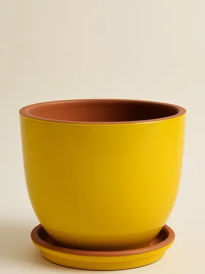Sarı Sırlı Saksı No 4 Ø27cm - Saksilar - Lalezar Botanik