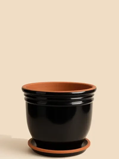 Siyah Sırlı Saksı No 2  Ø20cm - Saksilar - Lalezar Botanik