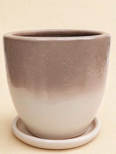 Kahve Krem Çift Sırlı No 6 Ø35cm -  Saksilar - Lalezar Botanik