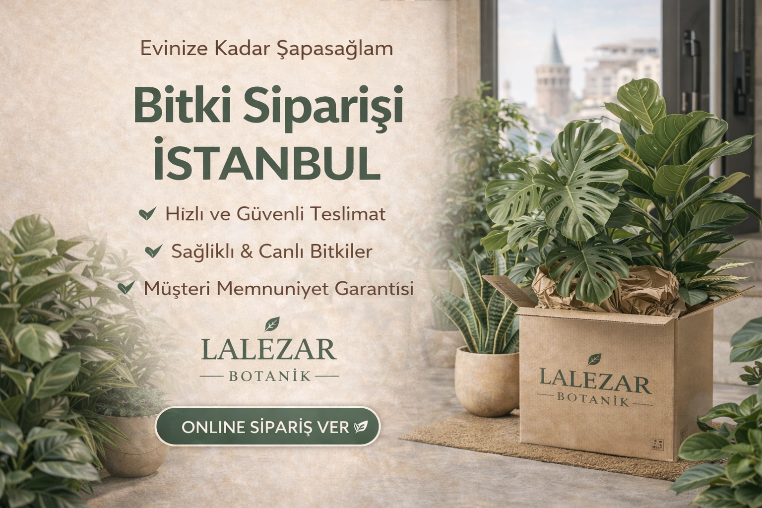 Bitki Siparişi İstanbul