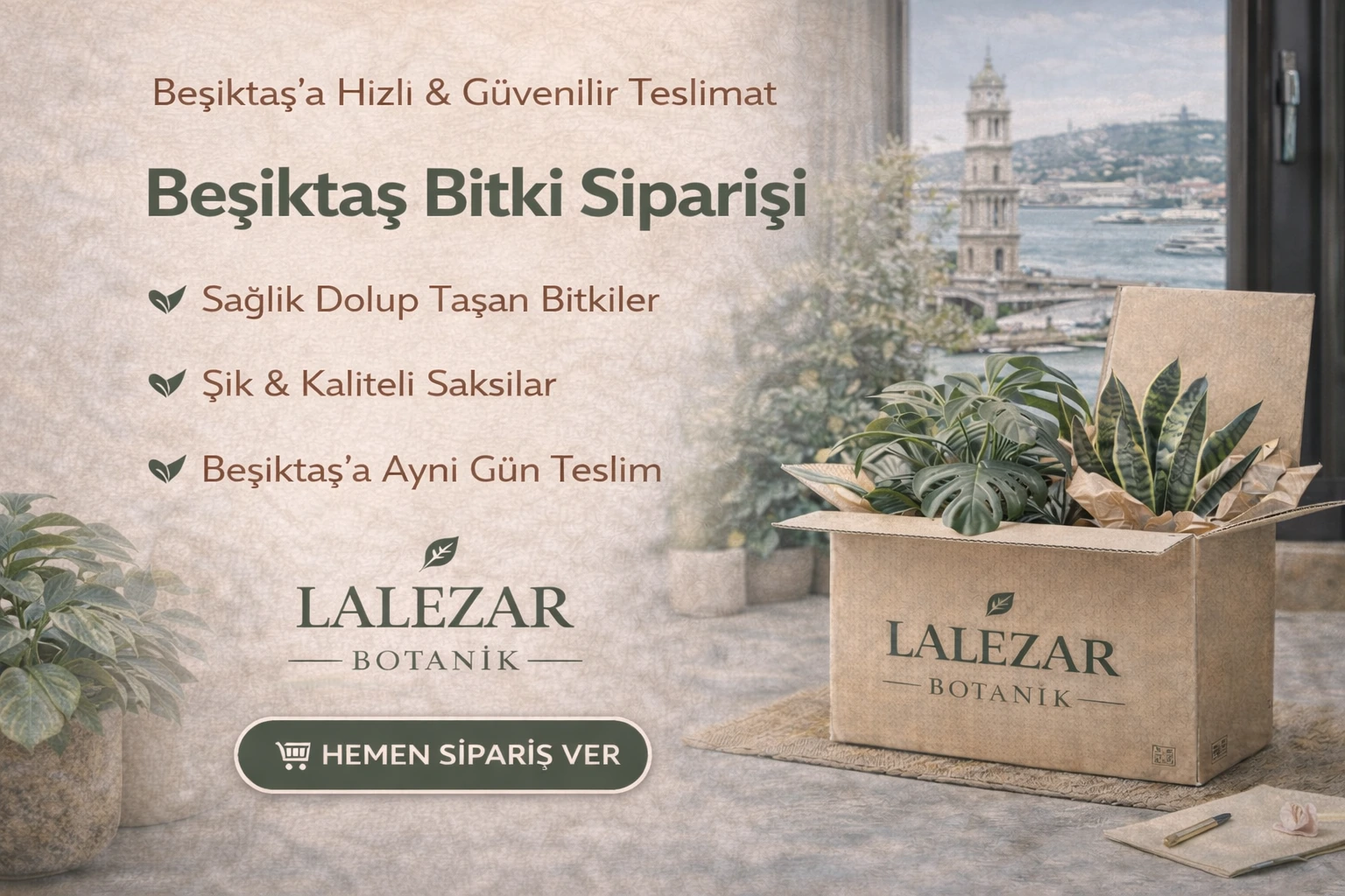 Beşiktaş Bitki Siparişi