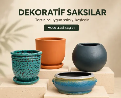Dekoratif Saksılar