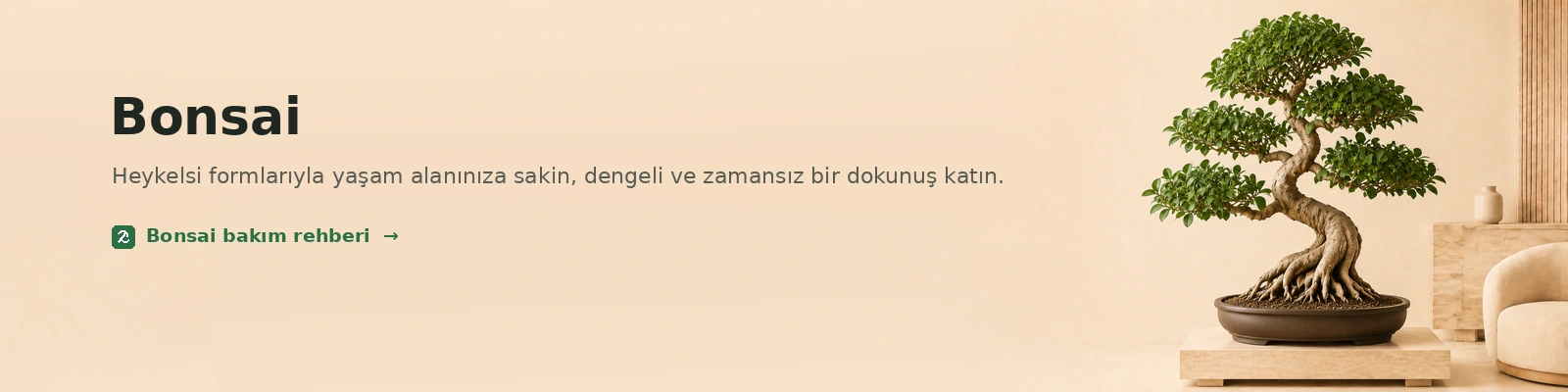 Bonsai Ağacı