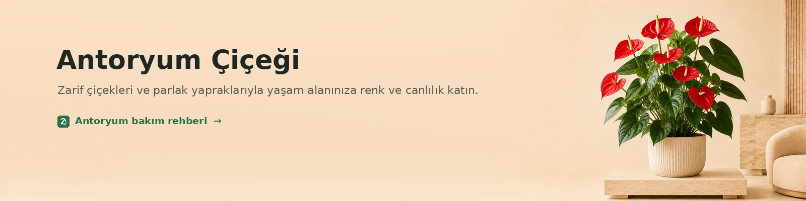 Antoryum Çiçeği