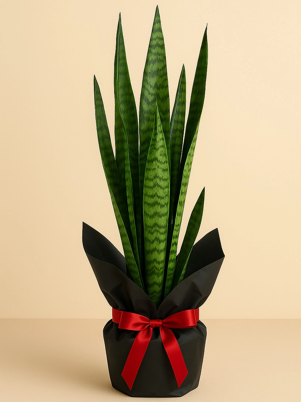 Sansevieria Paşa Kılıcı Yeşil 80 cm Hediye Paketli Sansevieria Paşa Kılıcı Yeşil 80 cm Hediye Paketli - salon-ofis-bitkileri - Lalezar Botanik