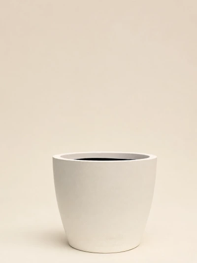 Manolya Beton Saksı No 1 Ø22cm Beyaz - Saksilar - Lalezar Botanik